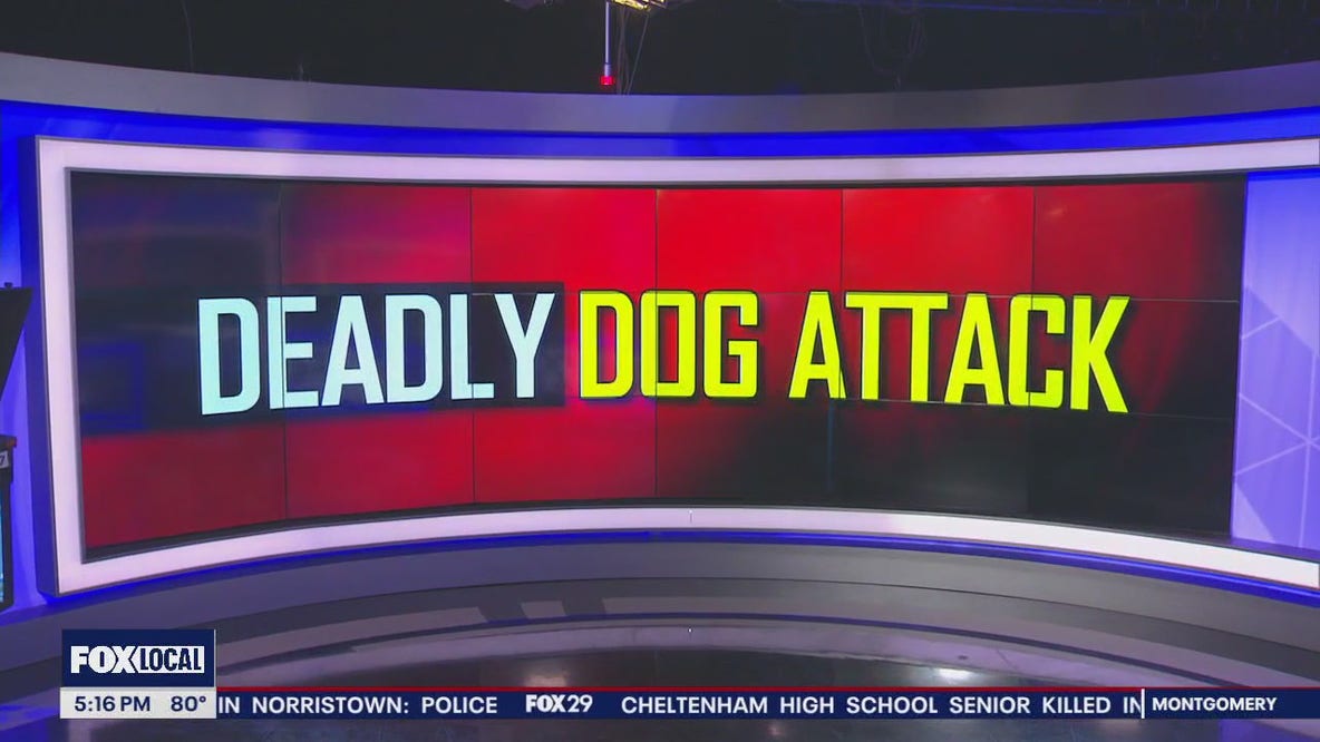 Dog owner speaks out after police killed pitbull that attacked him and his small dog